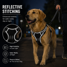 Load image into Gallery viewer, Promounts Reflective No-Pull Dog Harness with Front and Back Leash Clips, Adjustable Breathable Mesh Pet Vest | Medium