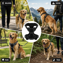 Load image into Gallery viewer, Promounts Reflective No-Pull Dog Harness with Front and Back Leash Clips, Adjustable Breathable Mesh Pet Vest | Medium