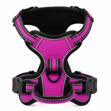 Load image into Gallery viewer, Promounts Reflective No-Pull Dog Harness with Front and Back Leash Clips, Adjustable Breathable Mesh Pet Vest | Medium