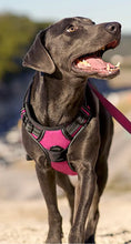 Load image into Gallery viewer, Medium Dog Harness, 3 Snap Buckles No-Pull Soft Padded Dog Vest with 2 Metal Leash Clips, No Choke Pet Harness with Easy Control Handle for Extra Large Dogs One Products