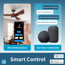 Load image into Gallery viewer, ProMounts 54 in. WIFI 3-Blade Smart Ceiling Fan with Reversible Motor, 6 Speeds and 3 Color Temperatures, App Control, Walnut One Smart CE Gear