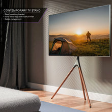 Load image into Gallery viewer, ProMounts Artistic Easel Tripod TV Stand for 47-72 inch LED LCD OLED Flat and Curved Screens, Portable Height Adjustable TV Mount Stand for Bedroom, Living Room, Studio ProMounts
