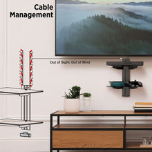 Load image into Gallery viewer, Promounts Double Glass AV Wall Shelf, Holds up to 17.6lbs each, TV Shelf with Strengthened Tempered Glasses for DVD Players, Cable Boxes, Games Consoles, Floating Shelves ProMounts Specialty