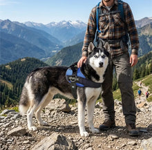Load image into Gallery viewer, Side Ring No Pull Dog Harness - No Choke, Escape Proof, Reflective, 3 Leash Clips, Comfortable Fit Pet Vest - Easy Walks & Training - for Medium & Large Dogs(Blue) One Products