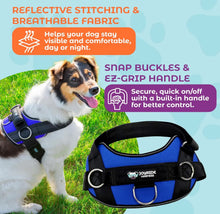 Load image into Gallery viewer, Side Ring No Pull Dog Harness - No Choke, Escape Proof, Reflective, 3 Leash Clips, Comfortable Fit Pet Vest - Easy Walks & Training - for Medium & Large Dogs(Pink) One Products
