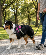 Load image into Gallery viewer, Side Ring No Pull Dog Harness - No Choke, Escape Proof, Reflective, 3 Leash Clips, Comfortable Fit Pet Vest - Easy Walks & Training - for Medium & Large Dogs(Pink) One Products
