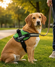 Load image into Gallery viewer, Side Ring No Pull Dog Harness, No Choke, Escape Proof, Reflective, 3 Leash Clips, Comfortable Fit Pet Vest - Easy Walks & Training for Medium & Large Dogs(Green) One Products