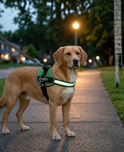 Load image into Gallery viewer, Side Ring No Pull Dog Harness, No Choke, Escape Proof, Reflective, 3 Leash Clips, Comfortable Fit Pet Vest - Easy Walks & Training for Medium & Large Dogs(Green) One Products