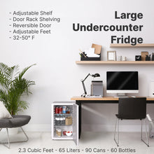 Load image into Gallery viewer, SnowLion Premium 65L Solid Door 2.3 Cu.ft. Freestanding Under-Counter Mini Fridge in White SnowLion Solid Door Large