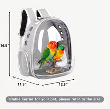Load image into Gallery viewer, secure bird perch backpack – Breathable Bubble Carrier for Small & Medium Birds with Secure Perch & Locking Zippers One Products
