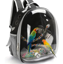 Load image into Gallery viewer, Panoramic View Bird carrier Backpack – Breathable Bubble Carrier for Small &amp; Medium Birds with Secure Perch &amp; Locking Zippers ProMounts Bird Supplies
