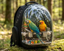 Load image into Gallery viewer, Panoramic View Bird carrier Backpack – Breathable Bubble Carrier for Small &amp; Medium Birds with Secure Perch &amp; Locking Zippers ProMounts Bird Supplies
