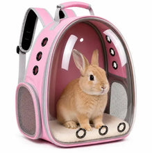 Load image into Gallery viewer, Pet Carrier Backpack for Cats &amp; Small Dogs, Airline-Friendly Bubble Carrier with Mesh Ventilation &amp; Safety Leash | Pink One Products
