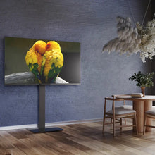Load image into Gallery viewer, ProMounts Portrait &amp; Landscape TV Floor Stand for 32”-75” TVs, Holds up to 77lbs - One Products
