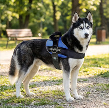 Load image into Gallery viewer, Side Ring No Pull Dog Harness - No Choke, Escape Proof, Reflective, 3 Leash Clips, Comfortable Fit Pet Vest - Easy Walks &amp; Training - for Medium &amp; Large Dogs(Blue) One Products
