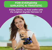 Load image into Gallery viewer, Side Ring No Pull Dog Harness - No Choke, Escape Proof, Reflective, 3 Leash Clips, Comfortable Fit Pet Vest - Easy Walks &amp; Training - for Medium &amp; Large Dogs(Pink) One Products
