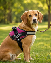 Load image into Gallery viewer, Side Ring No Pull Dog Harness - No Choke, Escape Proof, Reflective, 3 Leash Clips, Comfortable Fit Pet Vest - Easy Walks &amp; Training - for Medium &amp; Large Dogs(Pink) One Products
