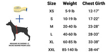 Load image into Gallery viewer, Side Ring No Pull Dog Harness - No Choke, Escape Proof, Reflective, 3 Leash Clips, Comfortable Fit Pet Vest - Easy Walks &amp; Training - for Medium &amp; Large Dogs(Pink) - One Products
