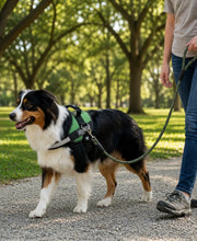 Load image into Gallery viewer, Side Ring No Pull Dog Harness, No Choke, Escape Proof, Reflective, 3 Leash Clips, Comfortable Fit Pet Vest - Easy Walks &amp; Training for Medium &amp; Large Dogs(Green) One Products
