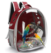 Load image into Gallery viewer, secure bird perch backpack – Breathable Bubble Carrier for Small &amp; Medium Birds with Secure Perch &amp; Locking Zippers One Products
