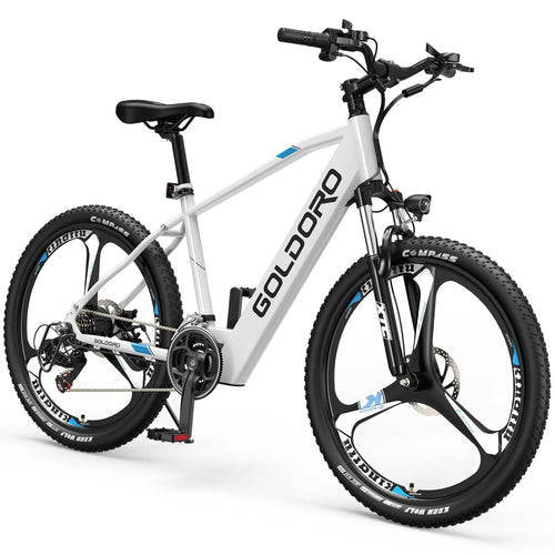 Goldoro Electric Bike 26