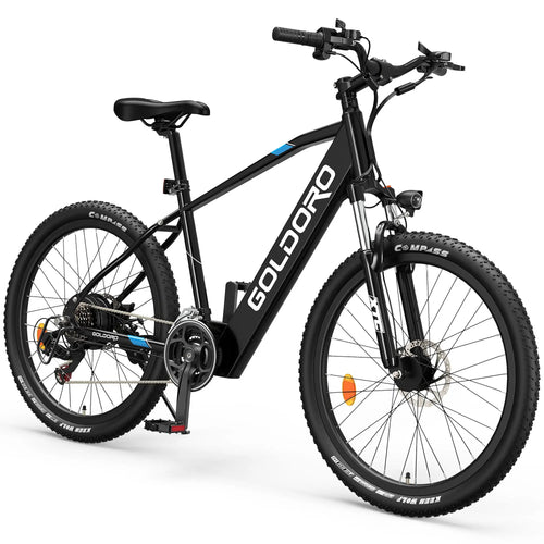 Goldoro Electric Bike 26